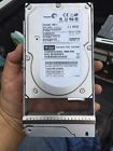 10k.7 300g Sun Drive Cheetah