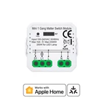 Matter Modular Smart Switch - Works With Apple Homekit. Fixed Price $12.00.