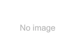 Ibm 4X97A81466 Thinksystem ST250 V2 X350/X40 Raid Cable Kit. Fixed Price $702.09.