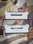 Corsair Vengeance Rgb Pro Light Enhancement Kit 2X DDR4 White Dummy Ram. Fixed Price $26.99.