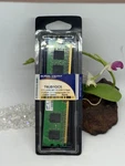 Super Talent The Power Of Memory T6UB1GC5 1G/64X8 - Sealed Package. Fixed Price $9.99.