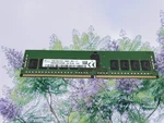 Sk Hynix 16GB Reg 2RX8 PC4-2400T-RE1-11 Server Memory Ram. Fixed Price $39.00.